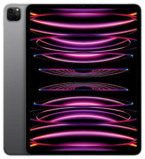 iPad Pro 12.9" (2022) Wi‑Fi+Cell 256GB -Space Grey