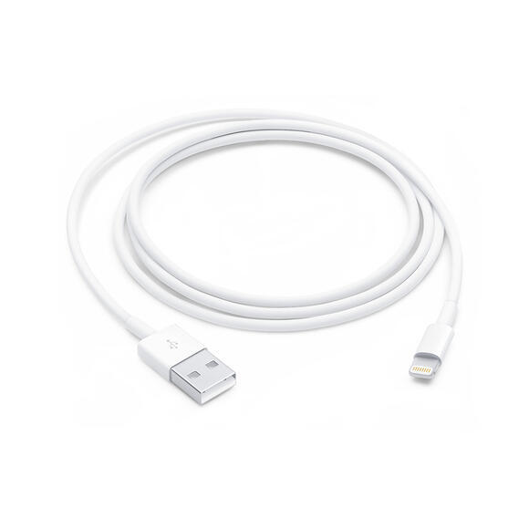 Apple Lightning to USB Cable (1m)1