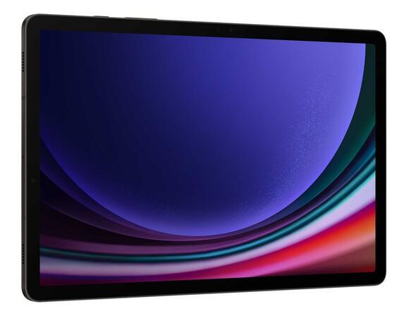 Samsung Galaxy Tab S9 128GB (11" 5G) Gray3