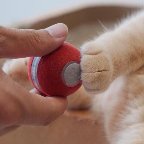 BOT CHEERBLE Mini Ball Interaktivní míč pro kočky3