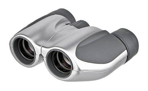 Olympus dalekohled 8x21 DPC-I silver4