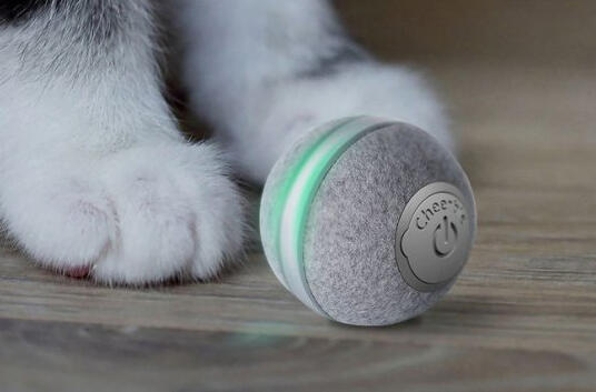 BOT CHEERBLE Mini Ball Interaktivní míč pro kočky6